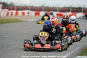 _DSC4731 copie